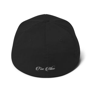 209 FlexFitCap