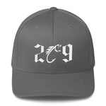 209 FlexFitCap